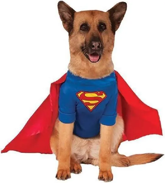 DC Comics Pet Costume, Superman, Large