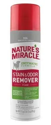 Nature's Miracle Stain & Odor Remover