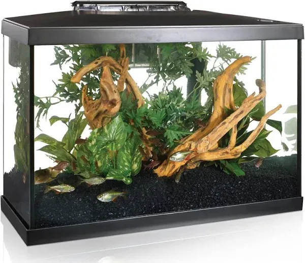 Marina 20 Gallon LED Aquarium Kit