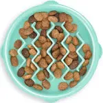 Outward Hound Fun Feeder Slo-Bowl Mint