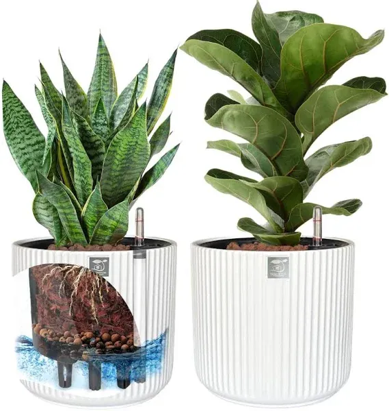 Stylish Self-Watering Ceramic Planter Set