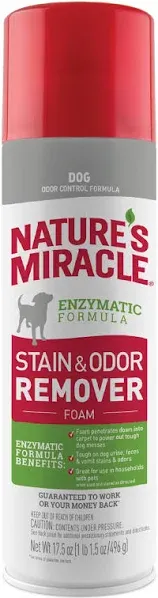 Nature's Miracle Stain & Odor Remover