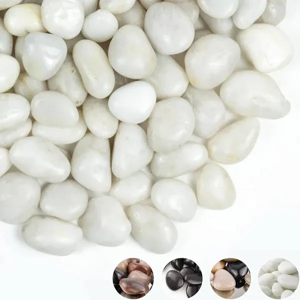 5 lbs White River Rocks, Polished Pebbles for Indoor Plants, 1-2 inch Decorative