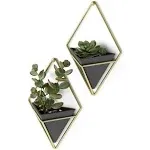 Umbra Trigg Wall Display Small - Set of 2 - Black/Brass