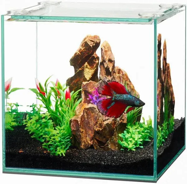 Aqueon Frameless Cube Aquarium