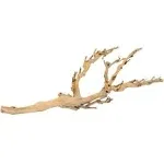 Exo Terra Forest Branch - Medium