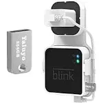 256GB USB Flash Drive and Blink Sync Module 2 Mount Save Space and Easy Mount Bracket for Blink Outdoor Indoor Security Camera