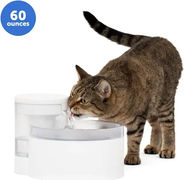 PetSafe Outlast Pumpless Water Fountain 60 oz Dishwasher Safe Water Filter Included, White