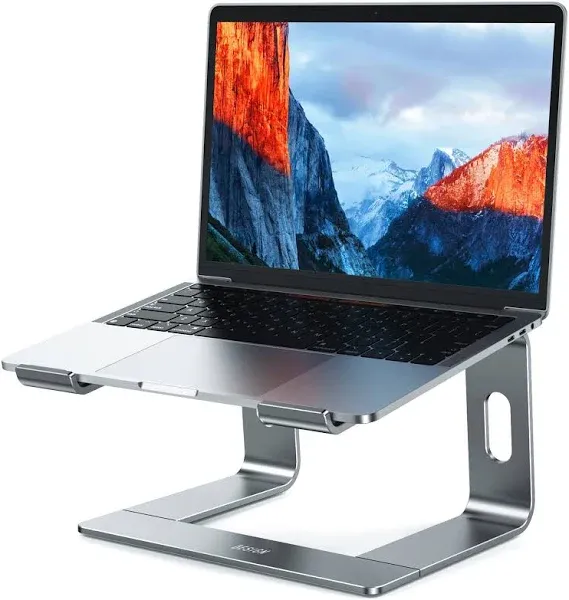 Besign LS03 Aluminum Laptop Stand