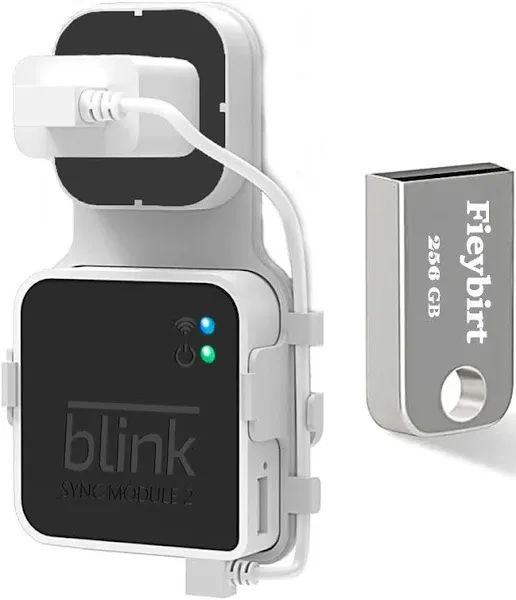 256GB Blink USB Flash Drive and Sync Module 2 Mount, Space Saving and Easy Move 