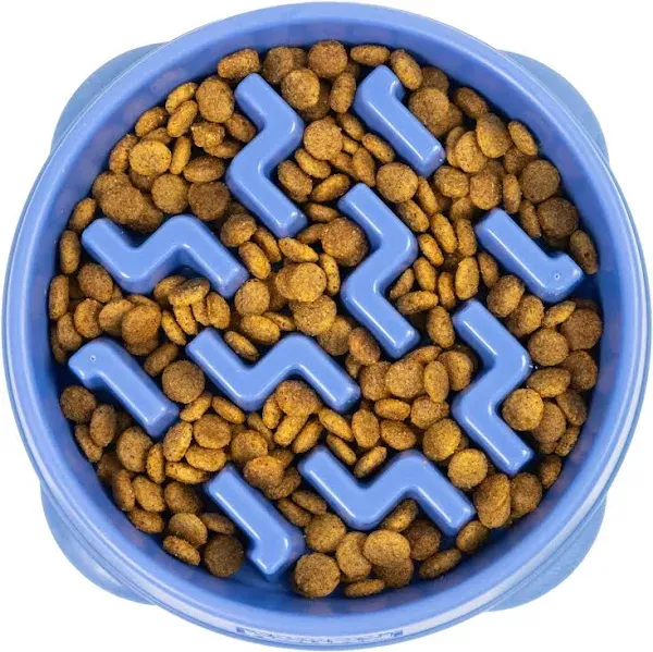 Outward Hound Fun Feeder Slo Bowl