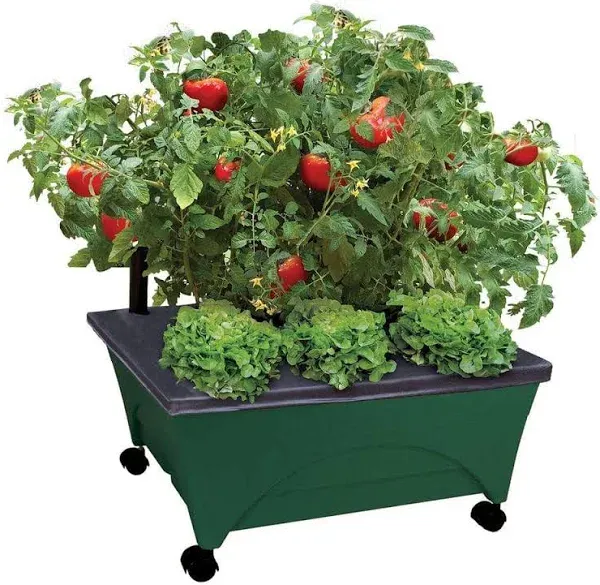 City Picker Raised Bed Grow Box