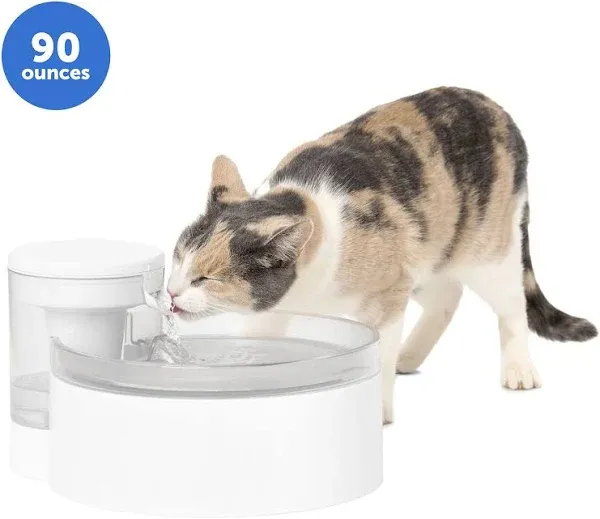 PetSafe Outlast Pumpless Water Fountain, White