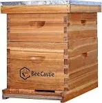 BeeCastle 10-Frames Complete Beehive Kit, 100% Beeswax Coated Bee Hive Includes Beehive Frames and Beeswax Coated Foundation Sheet