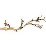 Exo Terra Forest Branch - Large