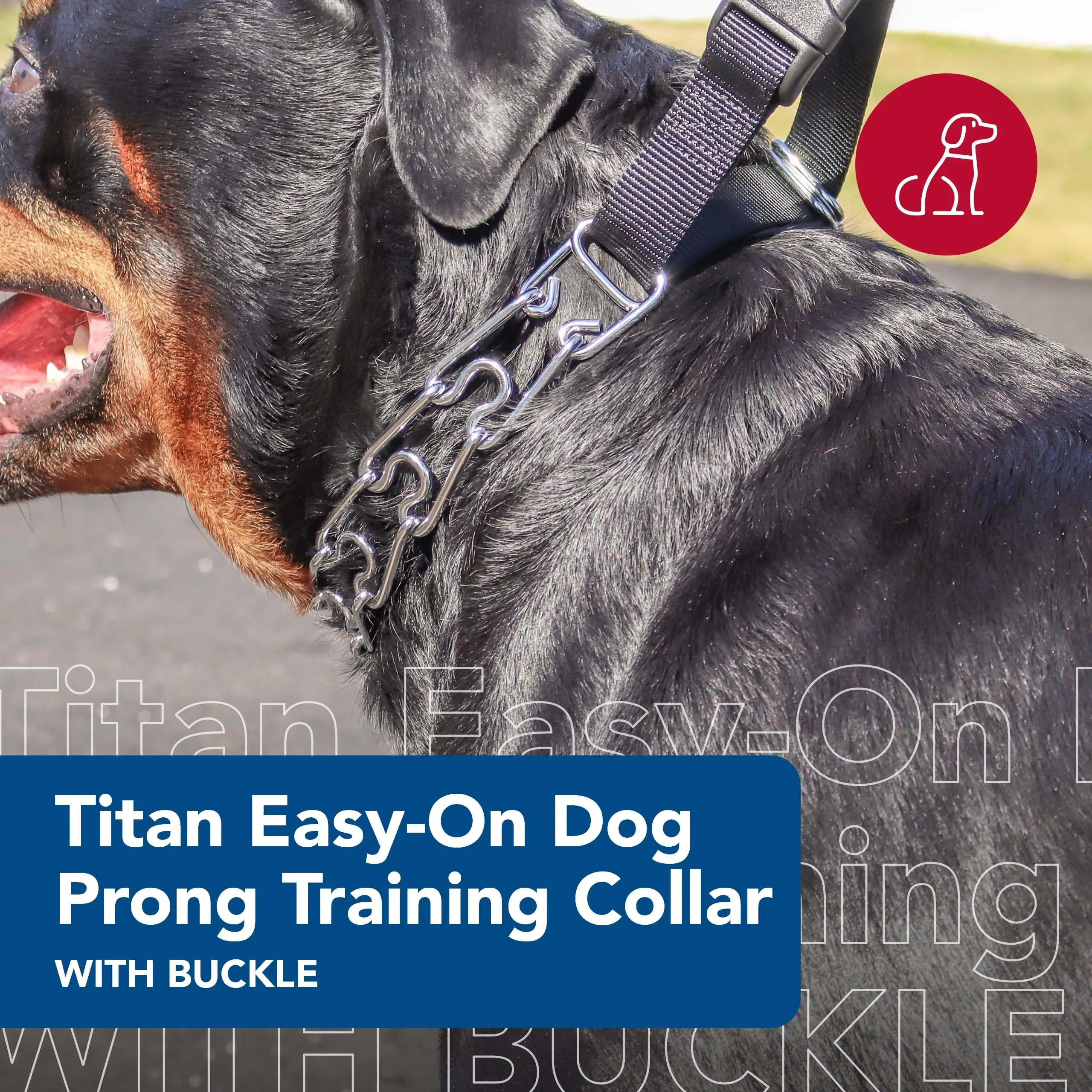 Titan Easy On Prong Training Collar