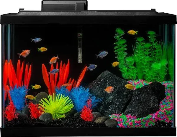 Glofish 20 Gallon Aquarium Kit