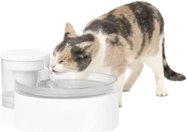 PetSafe Outlast Pumpless Cat Water Fountain