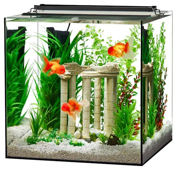 Aqueon Frameless Cube Aquarium