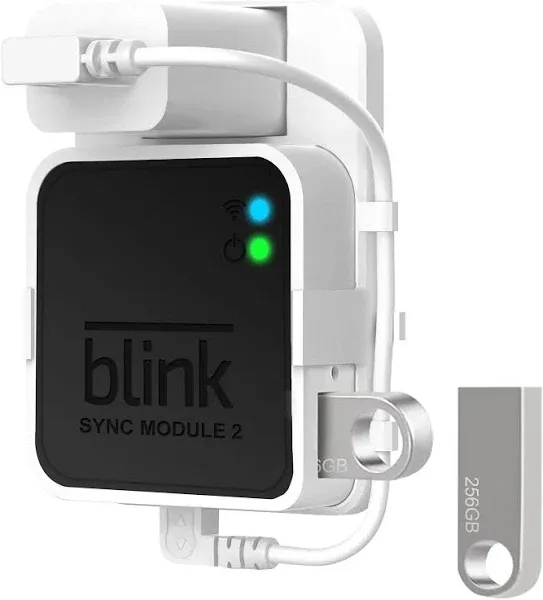 Blink 256GB USB Flash Drive with Blink Sync Module 2 Mount