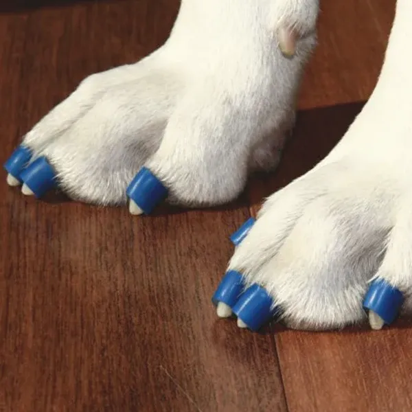 Dr Buzby's toegrips For Dogs Instant Traction on Wood/Hardwood Floors