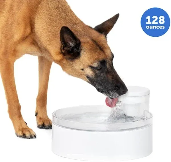 PetSafe Outlast Pumpless Cat Water Fountain