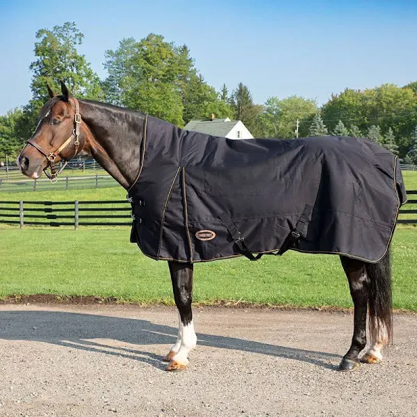 Country Pride Paladin High Neck Heavyweight Turnout Blanket