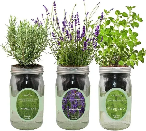 Environet Hydroponic Herb Growing Kit