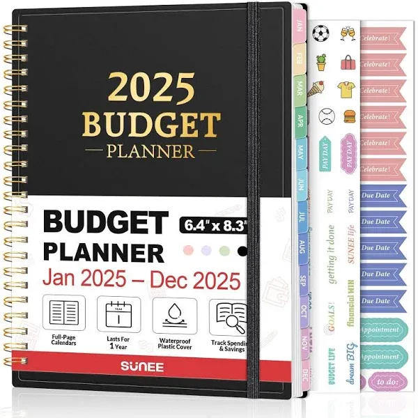 2025 Budget Planner