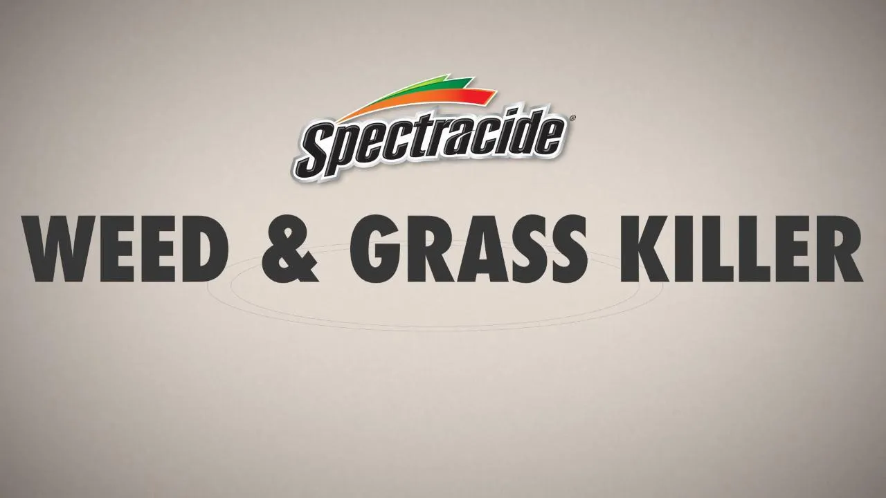 Spectracide Killer Weed Grass Concentrate