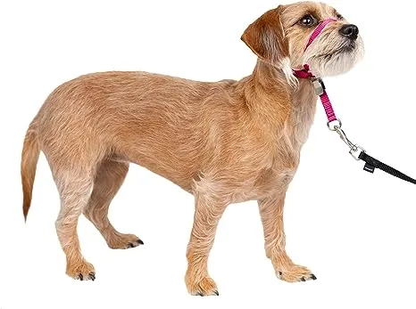 PetSafe Gentle Leader No-Pull Dog Headcollar - The Ultimate Solution to Pulling - Redirects Your Dog's Pulling For Easier Walks - Helps You Regain Control - Small, Raspberry Pink