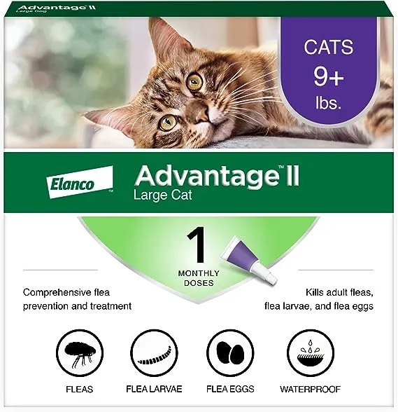 Advantage II Large Cat Vet-Recommended Flea Treatment & Prevention | Cats Over 9 lbs. | 4-Month Supply