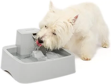 Drinkwell 1 Gallon Pet Fountain