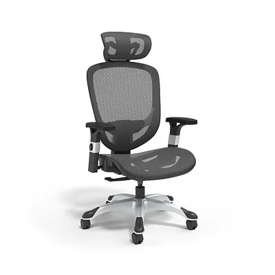 FlexFit Hyken Mesh Task Chair