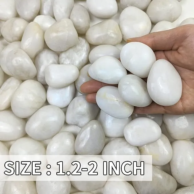 FANTIAN 5LB Natural Polished White Pebbles for Indoor Planters - 1.2-2 Inch Large Decorativel White River Rocks for Plants Vase Fillers Landscaping Rocks and Outdoor Garden Stones