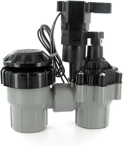 Rain Bird ASVF Anti-Siphon Valve with Flow Control 3/4 in. FPT | 075-ASVF