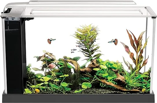 Fluval SPEC Aquarium Kit, Aquarium with LED Lighting and 3-Stage Filtration, 5 Gallon, White