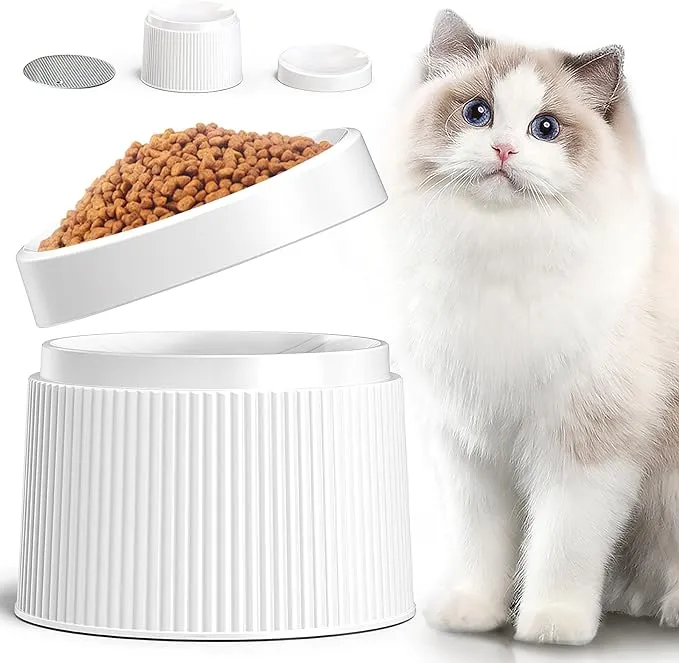 Elevated and Tilted Cat Food Bowl