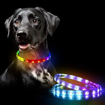 LED Dog Collar - Color Changeable Light Up Dog Collars USB Rechargeable,15 Light Effects Glow in The Dark Collar Weatherproof Fits for Small Medium Large Dog,Keep Your Pets Seen Safety High Visibility