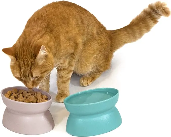 Raised Cat Food Bowl Collection/Fre<wbr/>e Pet Feeder and Waterer and Slow Feed Bowls