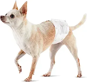 Amazon Basics Male Dog Wrap, Disposable Diapers, X-Small, Pack of 30, White