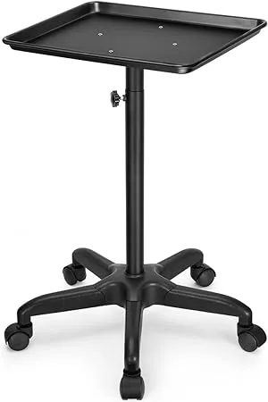 FLOLXNB Salon Tray Cart