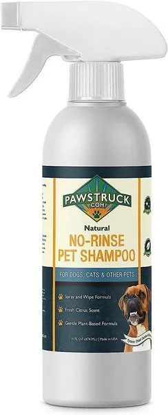 Pawstruck Natural No-Rinse Dry Shampoo for Dogs, Puppies, & Other Pets, Citrus & Rosemary - Waterless Deodorizing Spray Made in USA to Freshen & Remove Odors - 16 fl oz - Packaging May Vary