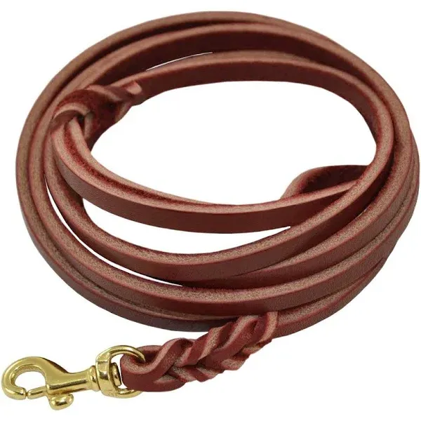 Dog Training Leather Leash