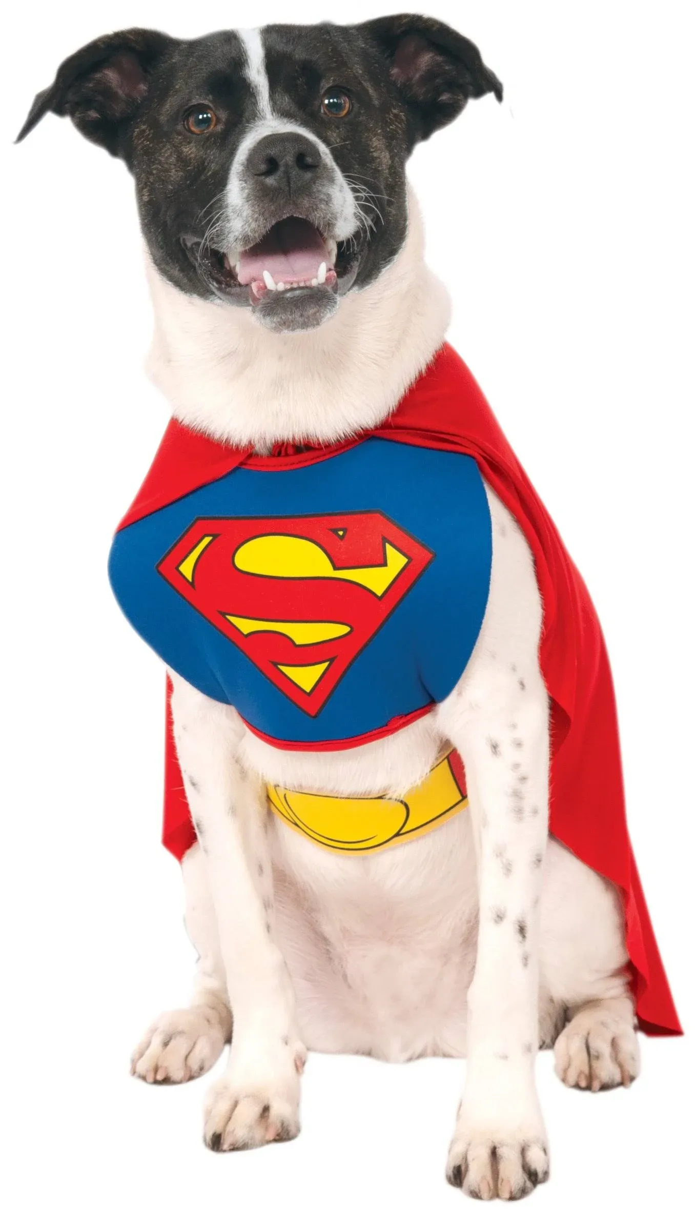 Superman Pet Costume Medium