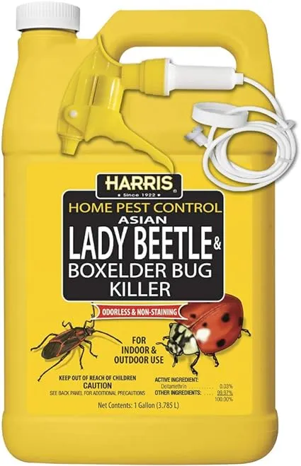 Harris Asian Lady Beetle & Box Elder Bug Killer