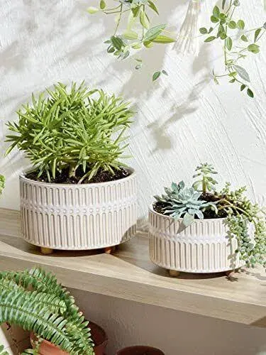 Succulent Pots 6.5+8 Inch Ceramic Indoor Plant Pot With Drainage Hole