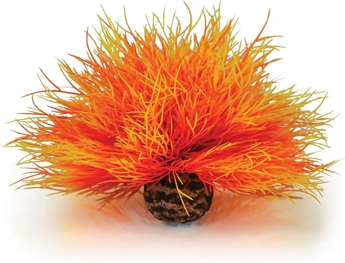 biOrb 46085.0 Orange Sea Lily Aquarium