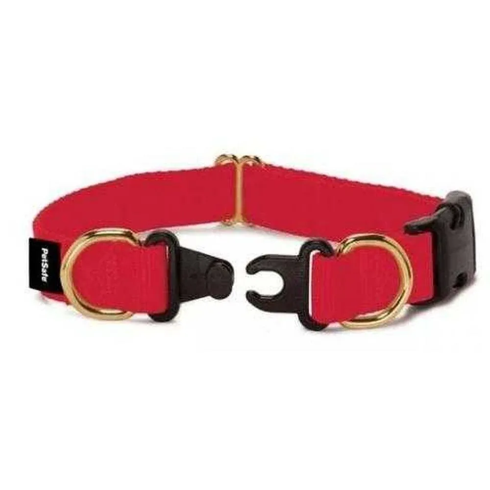 PetSafe KeepSafe Break-Away Collar, 1-Inch Medium, Red