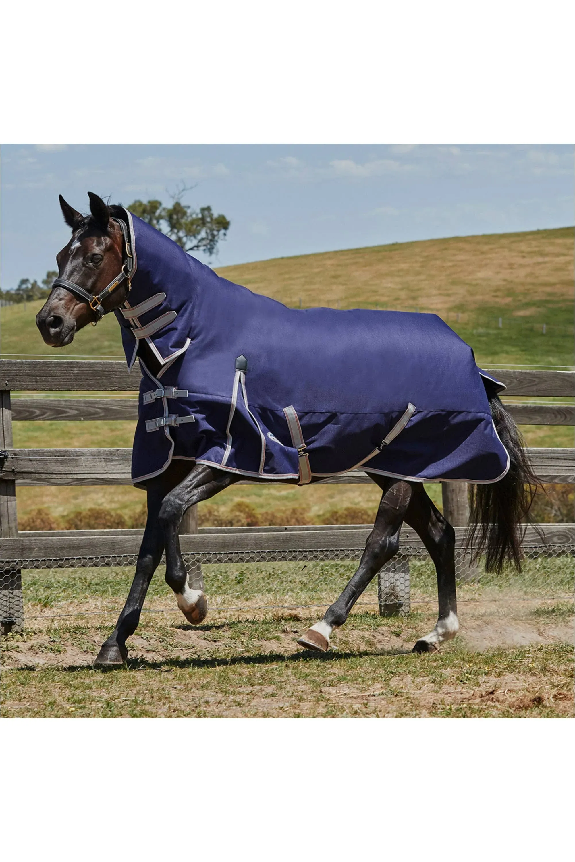 Weatherbeeta ComFiTec Essential Combo Neck Heavy Turnout Horse Blanket